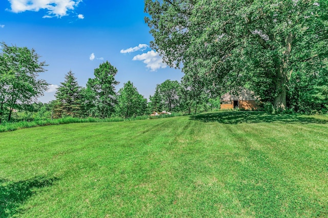 11965 State Highway 15, Kimball, MN 55353 - view of green lawn