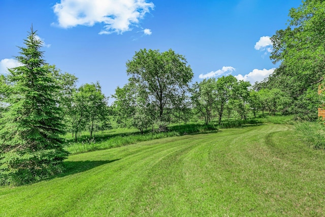 11965 State Highway 15, Kimball, MN 55353 - view of green lawn