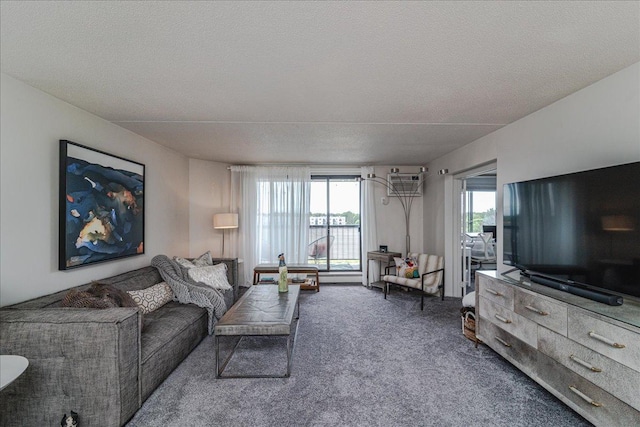 2601 Kenzie Ter Unit 519, Saint Anthony, MN 55418 - carpeted living area with a textured ceiling