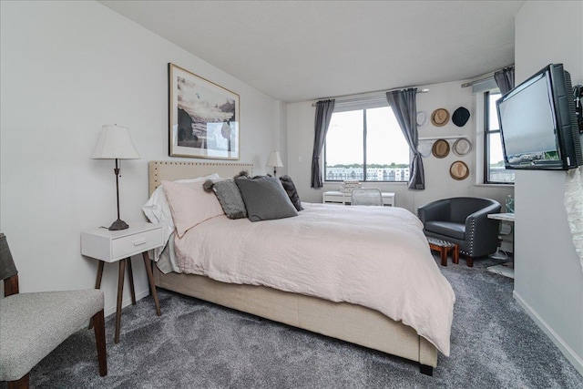 2601 Kenzie Ter Unit 519, Saint Anthony, MN 55418 - bedroom with carpet flooring and baseboards