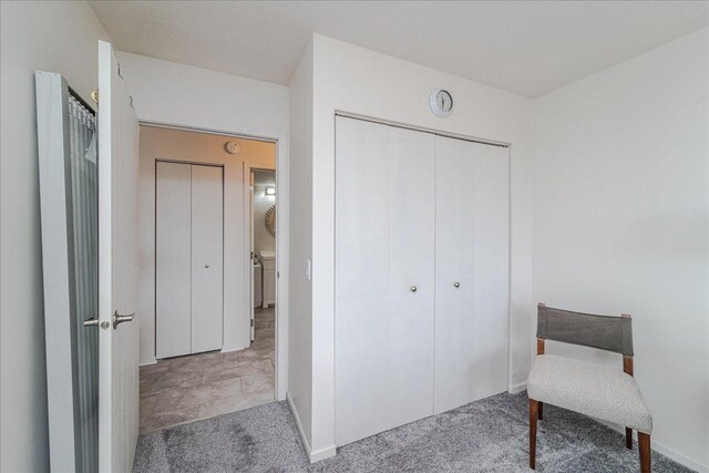 2601 Kenzie Ter Unit 519, Saint Anthony, MN 55418 - living area with carpet floors