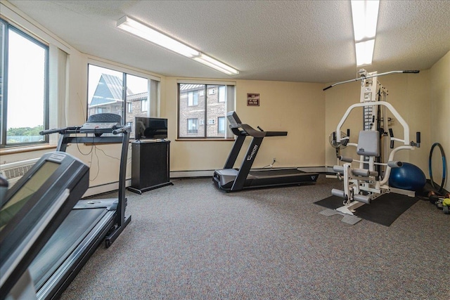2601 Kenzie Ter Unit 519, Saint Anthony, MN 55418 - exercise room featuring a textured ceiling, baseboard heating, and carpet flooring