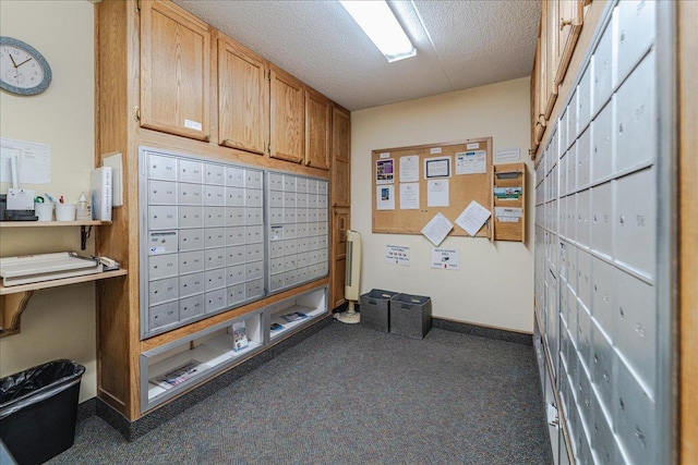 2601 Kenzie Ter Unit 519, Saint Anthony, MN 55418 - view of property's community featuring mail area and a textured ceiling