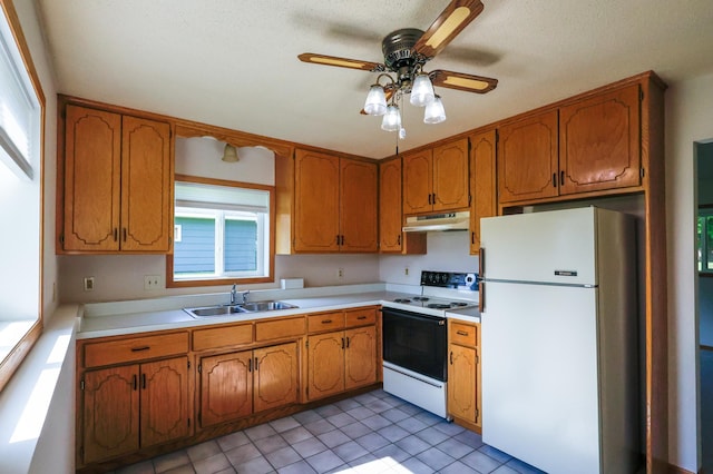 13752 Round Lake Blvd NW, Andover, MN 55304 - kitchen with white appliances, under cabinet range hood, brown cabinetry, and light countertops