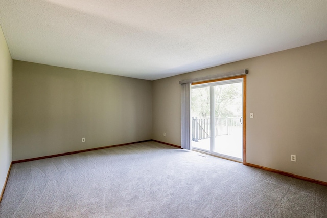 13752 Round Lake Blvd NW, Andover, MN 55304 - unfurnished room with carpet and a textured ceiling