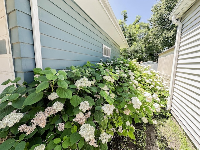 540 8th St, Bird Island, MN 55310 - exterior view
