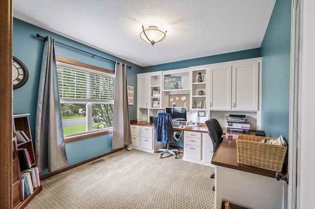 1799 158th Ln NW, Andover, MN 55304 - office area featuring light colored carpet and a textured ceiling