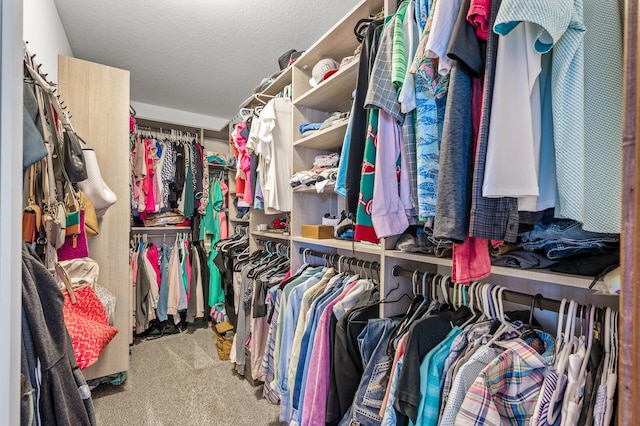 1799 158th Ln NW, Andover, MN 55304 - spacious closet featuring carpet