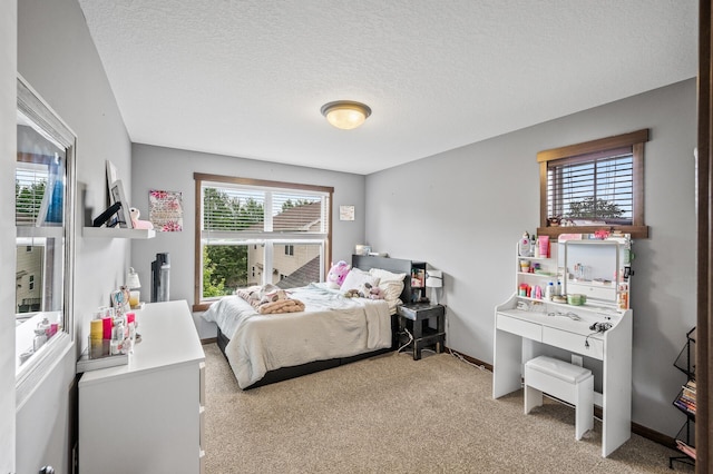 1799 158th Ln NW, Andover, MN 55304 - bedroom featuring light colored carpet and a textured ceiling
