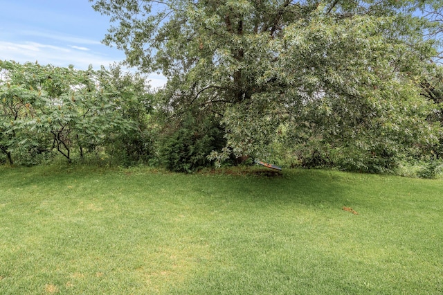 1799 158th Ln NW, Andover, MN 55304 - view of grassy yard