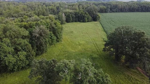 15596 464th St, Hewitt, MN 56453 - overview of rural landscape