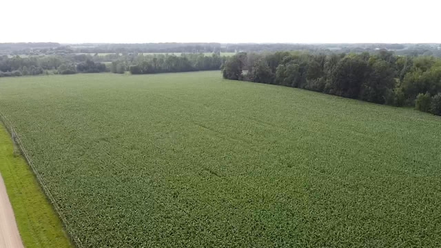 15596 464th St, Hewitt, MN 56453 - overview of rural landscape