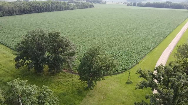 15596 464th St, Hewitt, MN 56453 - view of rural area featuring large plots for crops