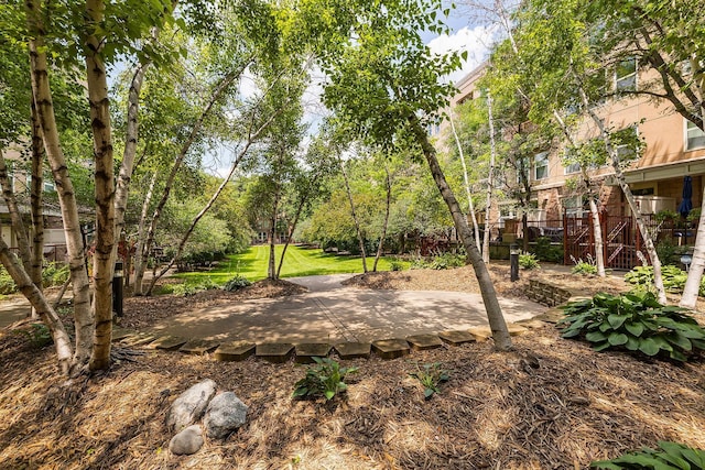 545 1st St Unit 400, Minneapolis, MN 55401 - view of yard