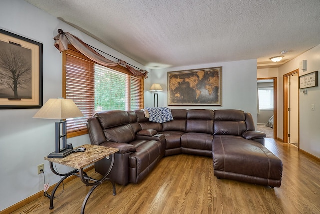 19161 Zane St NW, Elk River, MN 55330 - living area with a textured ceiling and wood finished floors