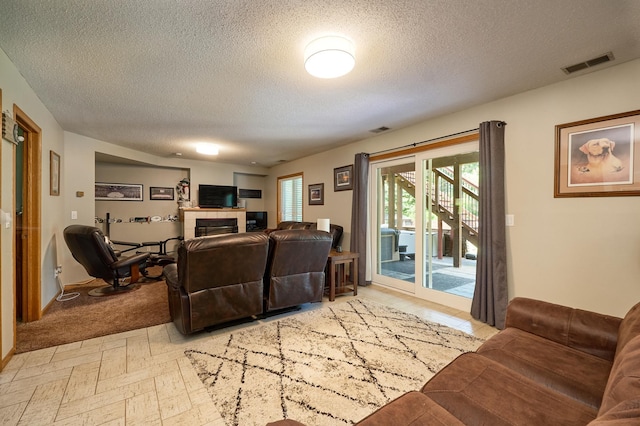 19161 Zane St NW, Elk River, MN 55330 - living area with a textured ceiling and a fireplace