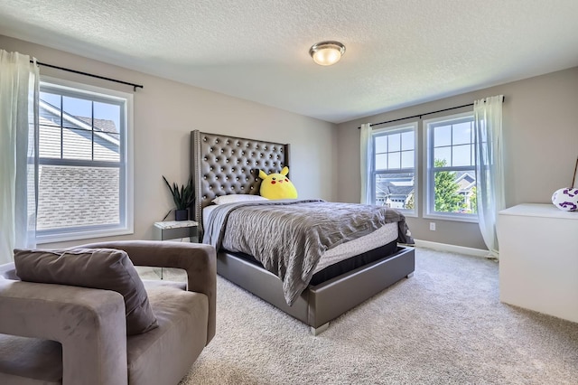 11887 73rd St NE, Otsego, MN 55301 - bedroom featuring a textured ceiling, multiple windows, and carpet flooring