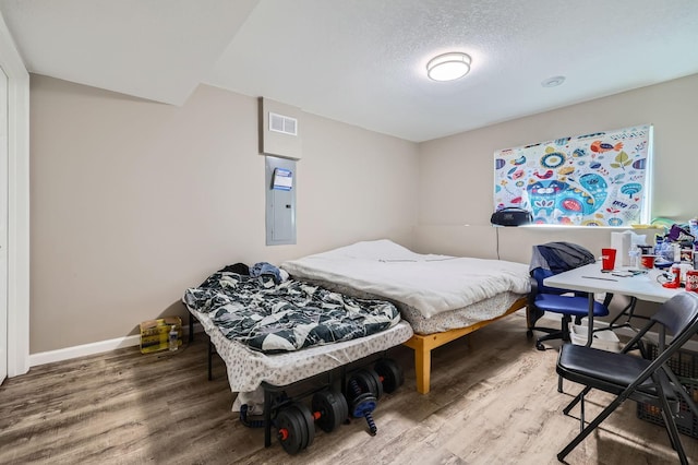 11887 73rd St NE, Otsego, MN 55301 - bedroom with electric panel, wood finished floors, and a textured ceiling