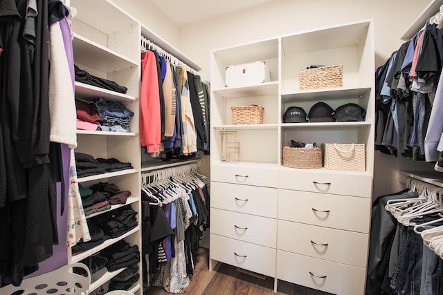 1267 Naser Way, New Richmond, WI 54017 - spacious closet with dark wood finished floors