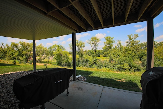 1267 Naser Way, New Richmond, WI 54017 - view of patio / terrace with grilling area