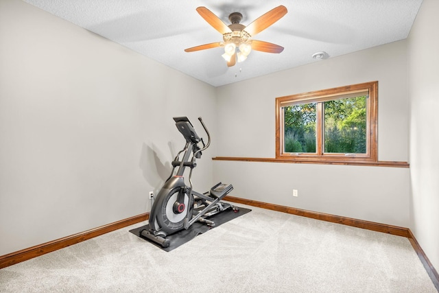 1899 White Oak Dr, Chaska, MN 55318 - exercise room with a ceiling fan and carpet