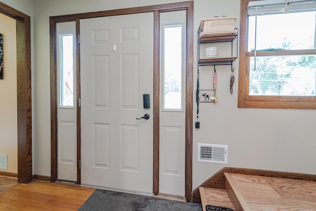 1271 Southview Dr, Hastings, MN 55033 - photo 5