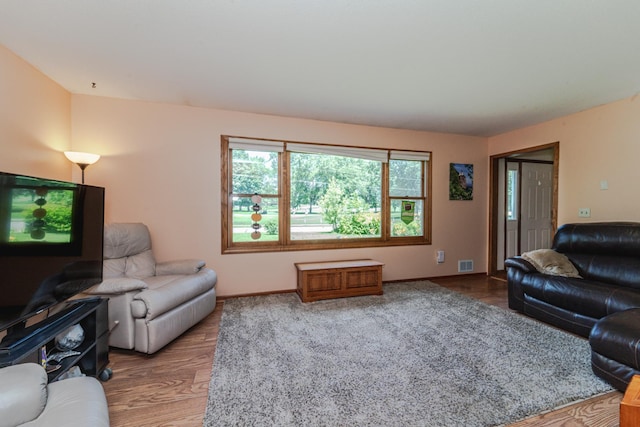 1271 Southview Dr, Hastings, MN 55033 - photo 8