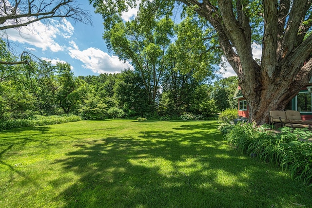 1271 Southview Dr, Hastings, MN 55033 - photo 44