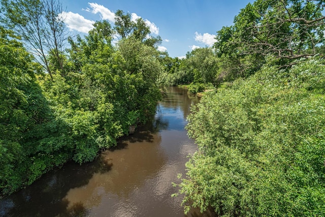 1271 Southview Dr, Hastings, MN 55033 - photo 49