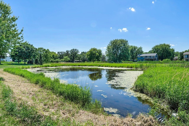 12910 Brenly Way, Rogers, MN 55374 - water view