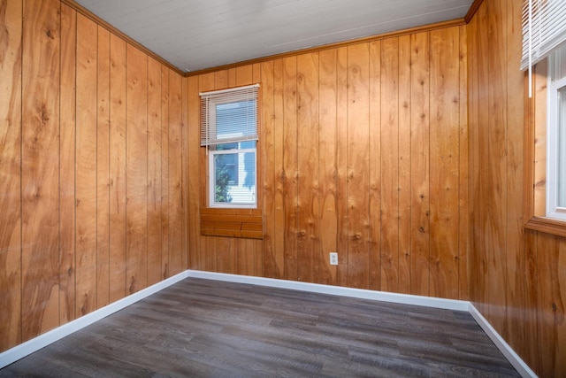 213 Caledonia St, Caledonia, MN 55921 - empty room with wood finished floors, wood walls, and ornamental molding