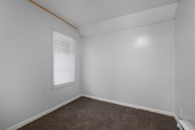213 Caledonia St, Caledonia, MN 55921 - spare room featuring dark colored carpet and lofted ceiling