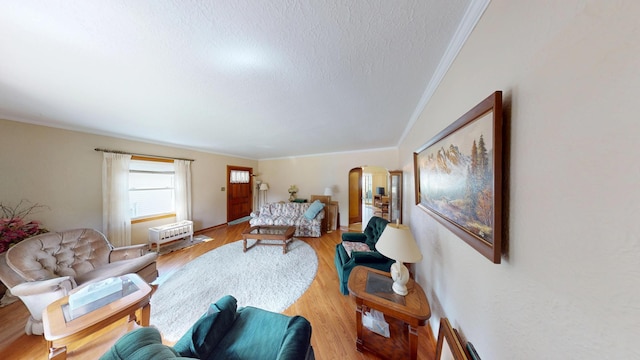 1314 Dunham St, Albert Lea, MN 56007 - living area featuring arched walkways, a textured ceiling, light wood finished floors, and crown molding