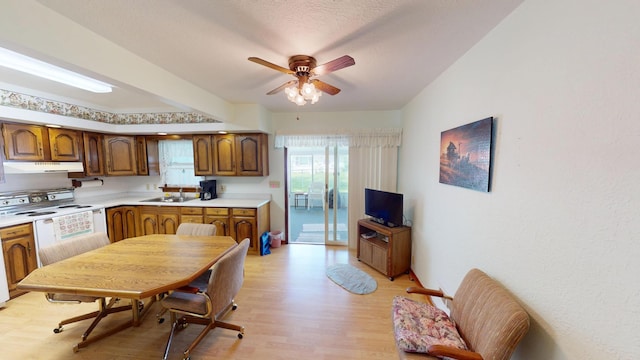 1314 Dunham St, Albert Lea, MN 56007 - kitchen with under cabinet range hood, light countertops, light wood-style floors, white range with electric stovetop, and a ceiling fan