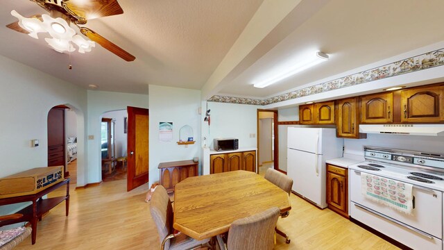 1314 Dunham St, Albert Lea, MN 56007 - kitchen with white appliances, under cabinet range hood, arched walkways, a ceiling fan, and light wood finished floors