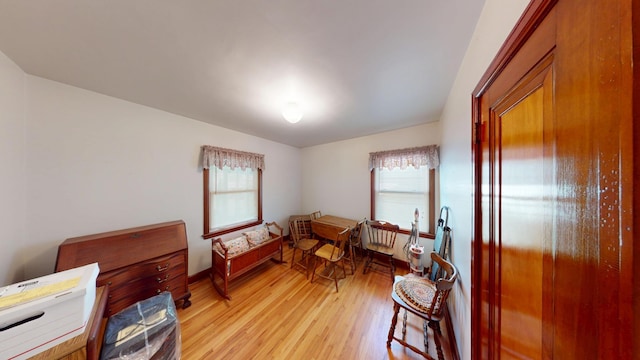 1314 Dunham St, Albert Lea, MN 56007 - office area with plenty of natural light and light wood finished floors