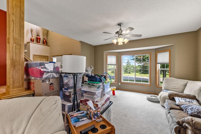 6352 Highland Hills Blvd S, Cottage Grove, MN 55016 - photo 8