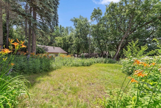 2206 Dudley Ave, Saint Paul, MN 55108 - photo 47
