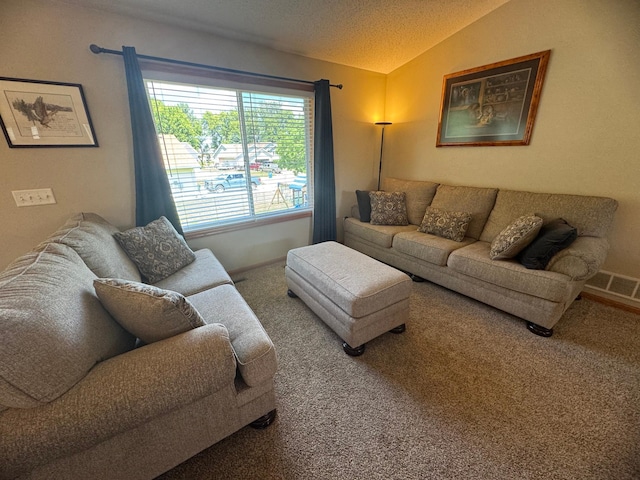 1070 20th St NE, Owatonna, MN 55060 - carpeted living area with lofted ceiling and a textured ceiling