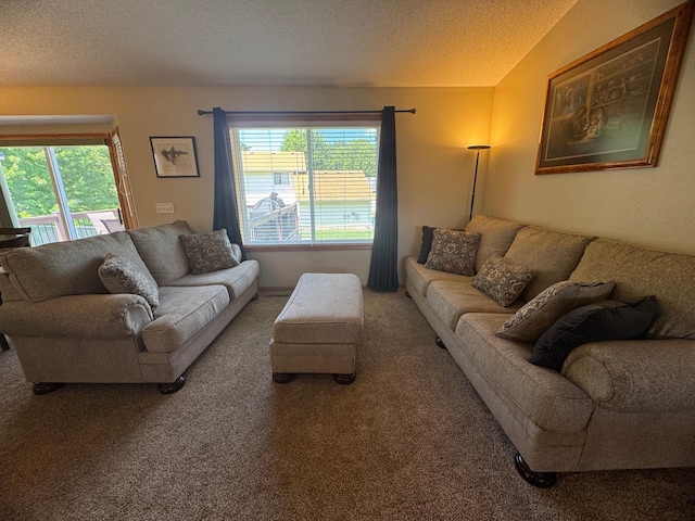 1070 20th St NE, Owatonna, MN 55060 - carpeted living area with a textured ceiling