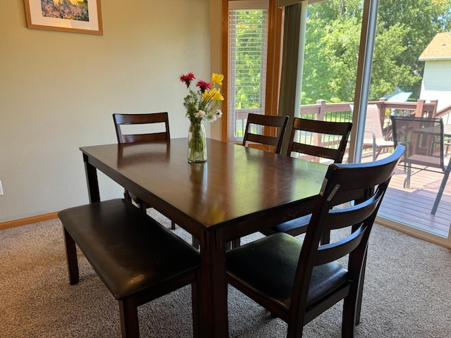 1070 20th St NE, Owatonna, MN 55060 - dining room with carpet and a textured wall