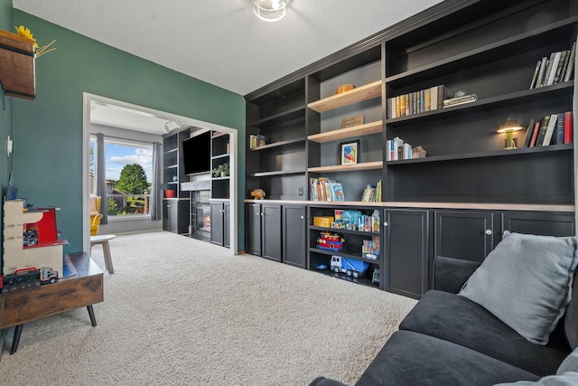 2418 Thrush St, Shakopee, MN 55379 - sitting room with carpet floors, a warm lit fireplace, and a textured ceiling