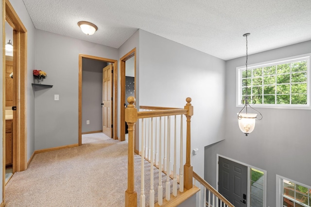 2418 Thrush St, Shakopee, MN 55379 - corridor featuring an upstairs landing, light colored carpet, and a textured ceiling