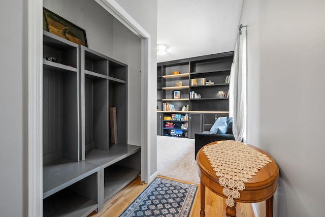 2418 Thrush St, Shakopee, MN 55379 - mudroom featuring light wood finished floors