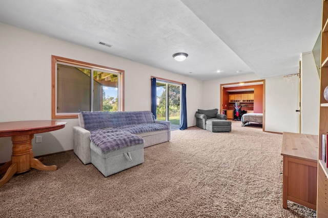 2418 Thrush St, Shakopee, MN 55379 - living area with carpet flooring