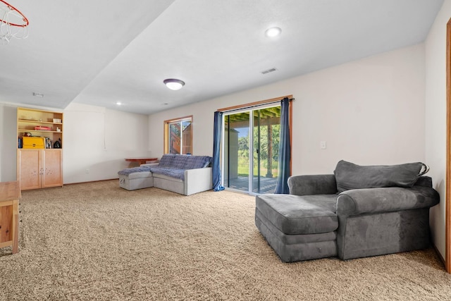 2418 Thrush St, Shakopee, MN 55379 - carpeted living room with recessed lighting