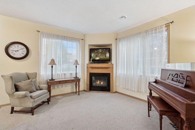 2255 119th Cir NE, Blaine, MN 55449 - photo 11