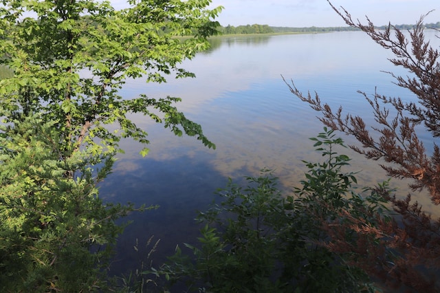 10284 Angler Dr, Grey Eagle, MN 56336