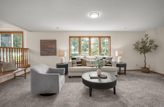 2824 92nd Cres N, Brooklyn Park, MN 55443 - carpeted living room with a textured ceiling and baseboards