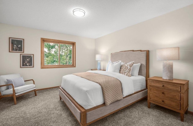 2824 92nd Cres N, Brooklyn Park, MN 55443 - bedroom with carpet and baseboards